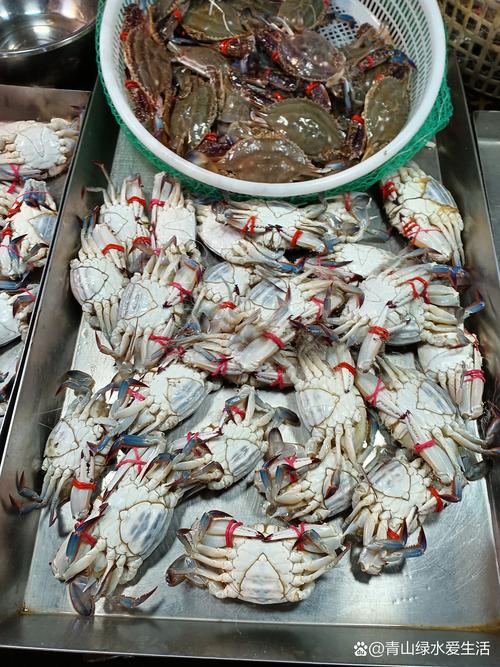 黄骅寻鲜记 渤海湾畔的渔家饮食滋味与大美风光